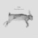 Liljor - Eftermiddagens Tystnad Liljor - Eftermiddagens Tystnad