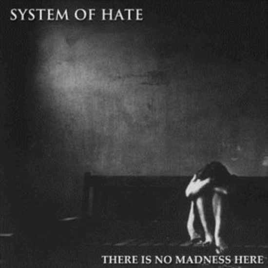 System Of Hate - There Is No Madness Here