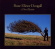 Rose Elinor Dougall - A New Illusion Rose Elinor Dougall - A New Illusion