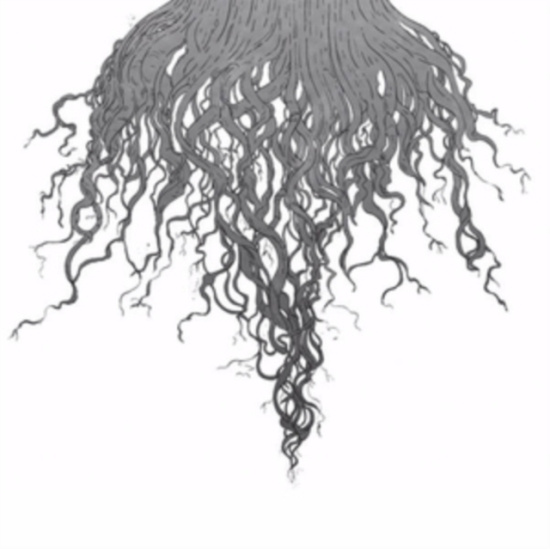 Meursault - Crow Hill