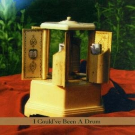 Nathanson Roy & Coleman Anthony - I Could've Been A Drum