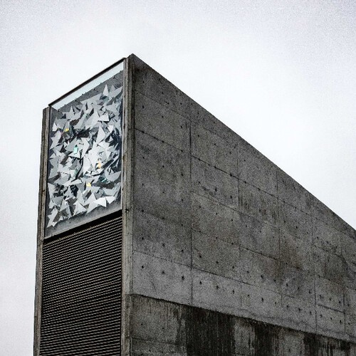 Ecker & Meulyzer - Carbon
