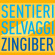 Various - Zingiber