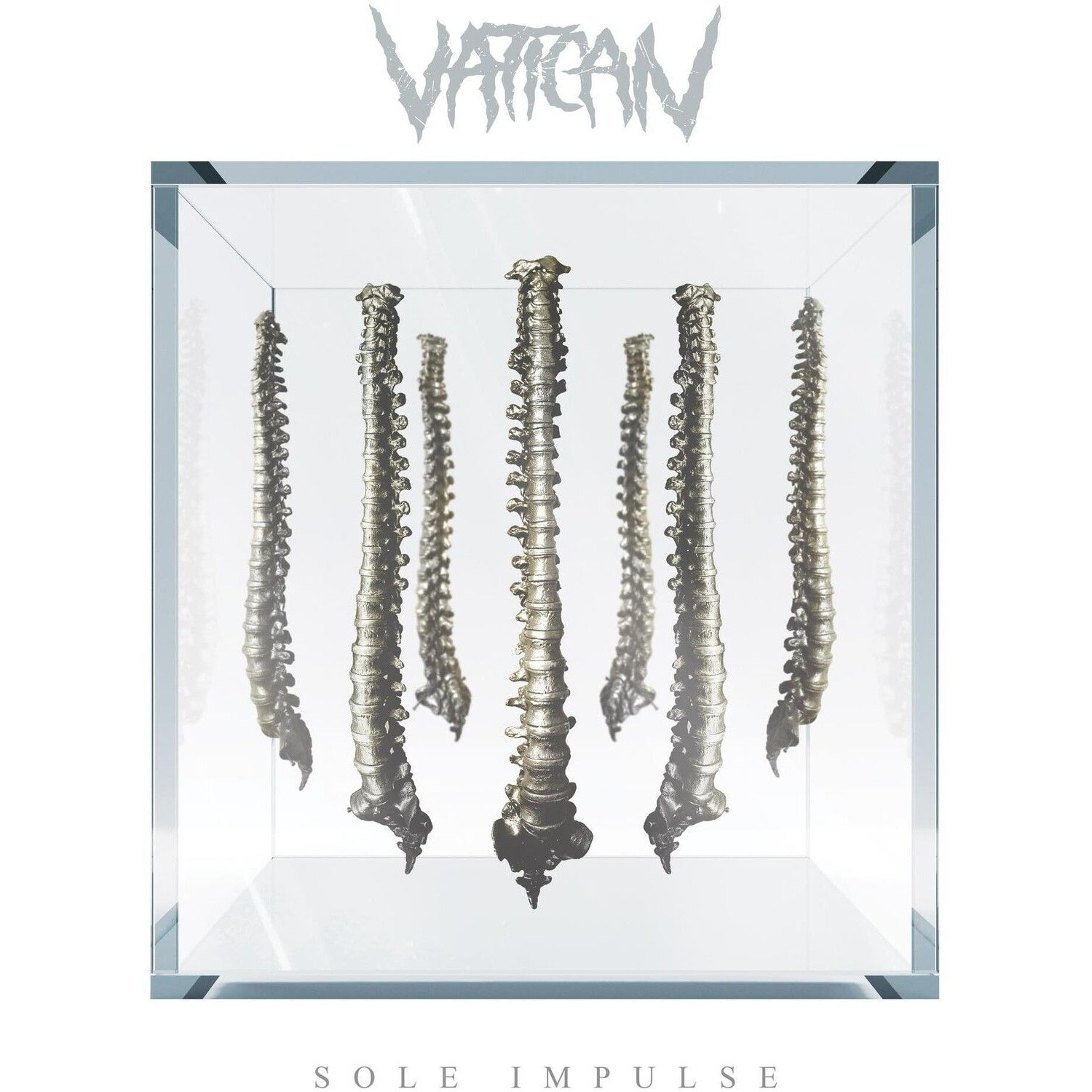 Vatican - Sole Impulse