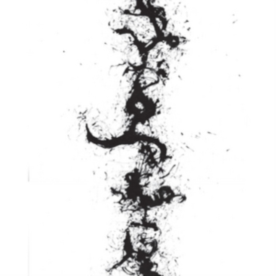 Zorn John - True Discoveries Of Witches And Dem