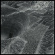 Saturnalia Temple - To The Other Saturnalia Temple - To The Other