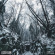Lesser Glow - Nullity Lesser Glow - Nullity