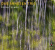 Dag Arnesen Trio - Inner Lines Dag Arnesen Trio - Inner Lines