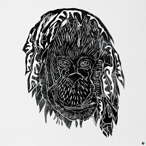 Alpha Steppa - RAISE THE ARK
