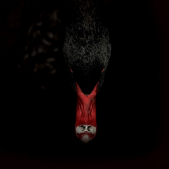 Sankt Otten + N - Mannerfreundschaften Und Metaphysik