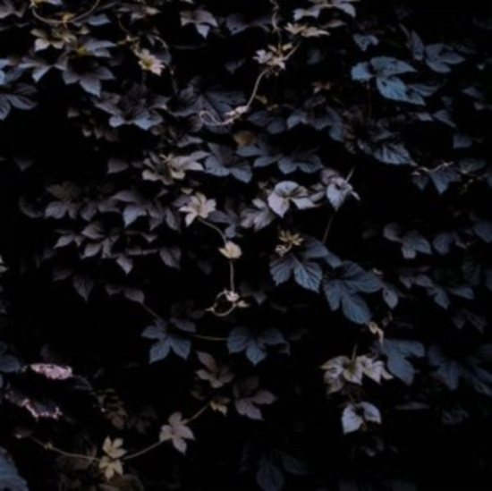 Vallera Michael - Vivid Flu