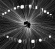 Polar Bear With Jyager - Common Ground Polar Bear With Jyager - Common Ground