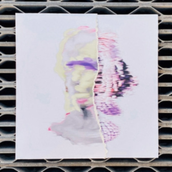 Denial Of Service - False Postives (Handmade Sleeve)