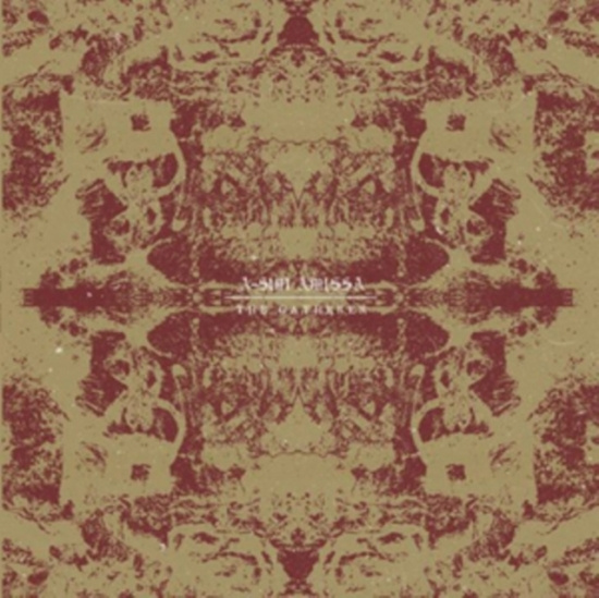 A-Sun Amissa - Gatherer