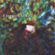 Flatland - Satellite Flatland - Satellite