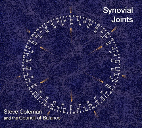 Coleman Steve & The Council Of Balance's - Synovial Joints