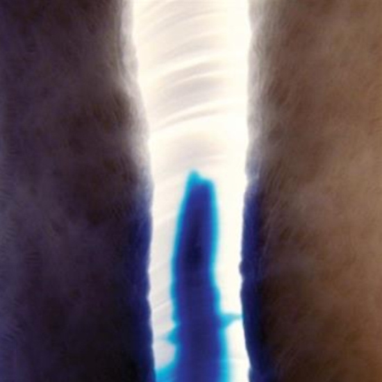 Stubborn Heart - Penetrate