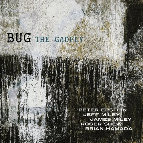 Bug - Gadfly