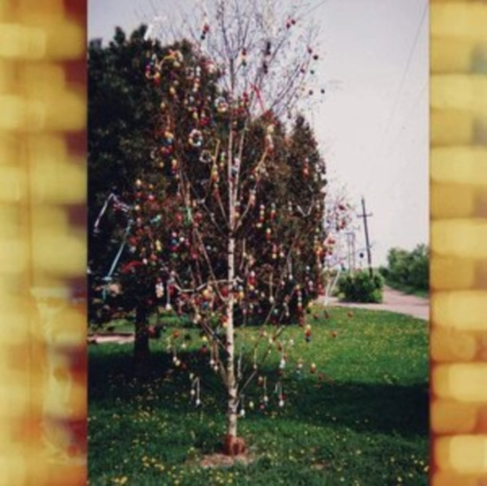 Kraus - A Golden Brain