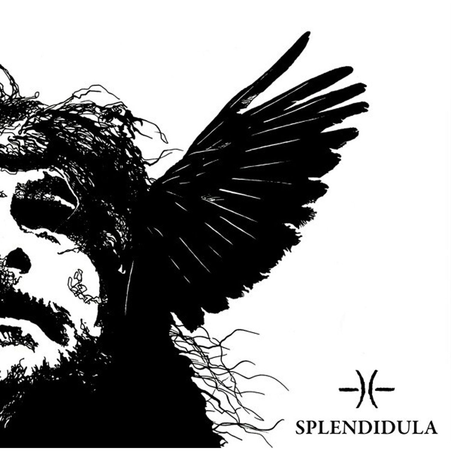 Splendidula - Somnus