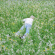 Robinson Porter - Nurture (Ultra Clear Vinyl) Robinson Porter - Nurture (Ultra Clear Vinyl)