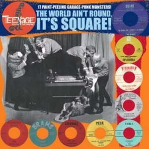 Various Artists - Teenage Shut Down - The World Ain't