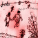 Amida - My Life As A Trashcan Amida - My Life As A Trashcan