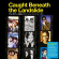 Various Artists - Caught Beneath The Landslide - The Various Artists - Caught Beneath The Landslide - The