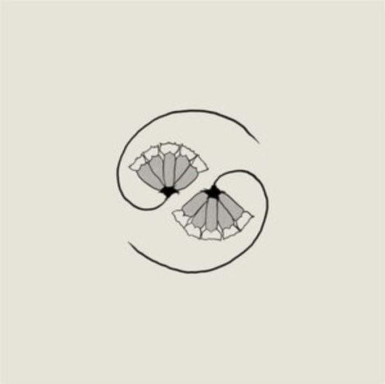 Godspeed You! Black Emperor - G_D's Pee At State's End!