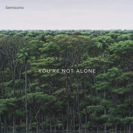 Semisonic - You're Not Alone