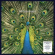 The Bluetones - Expecting To Fly - 25Th Anniversary The Bluetones - Expecting To Fly - 25Th Anniversary
