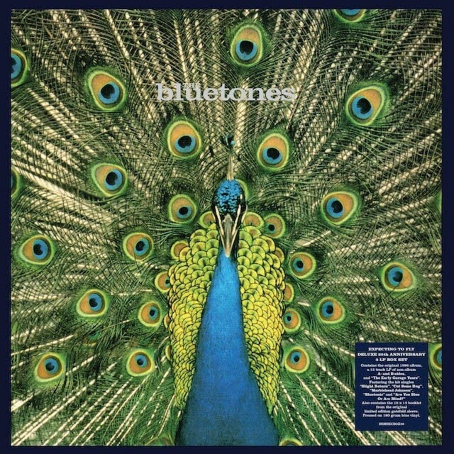 The Bluetones - Expecting To Fly - 25Th Anniversary