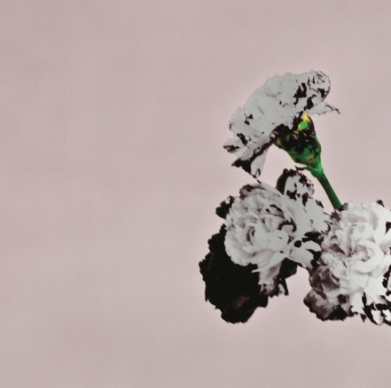 Legend John - Love In The Future (Special Edition)