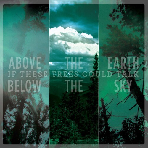 If These Trees Could Talk - Above The Earth, Below The Sky