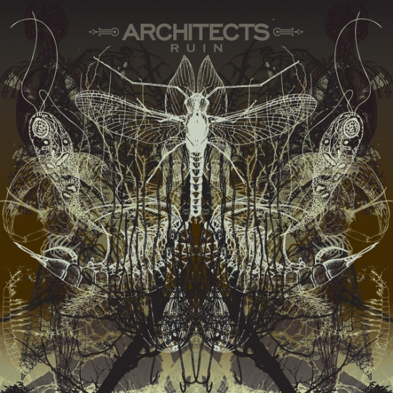 Architects - Ruin