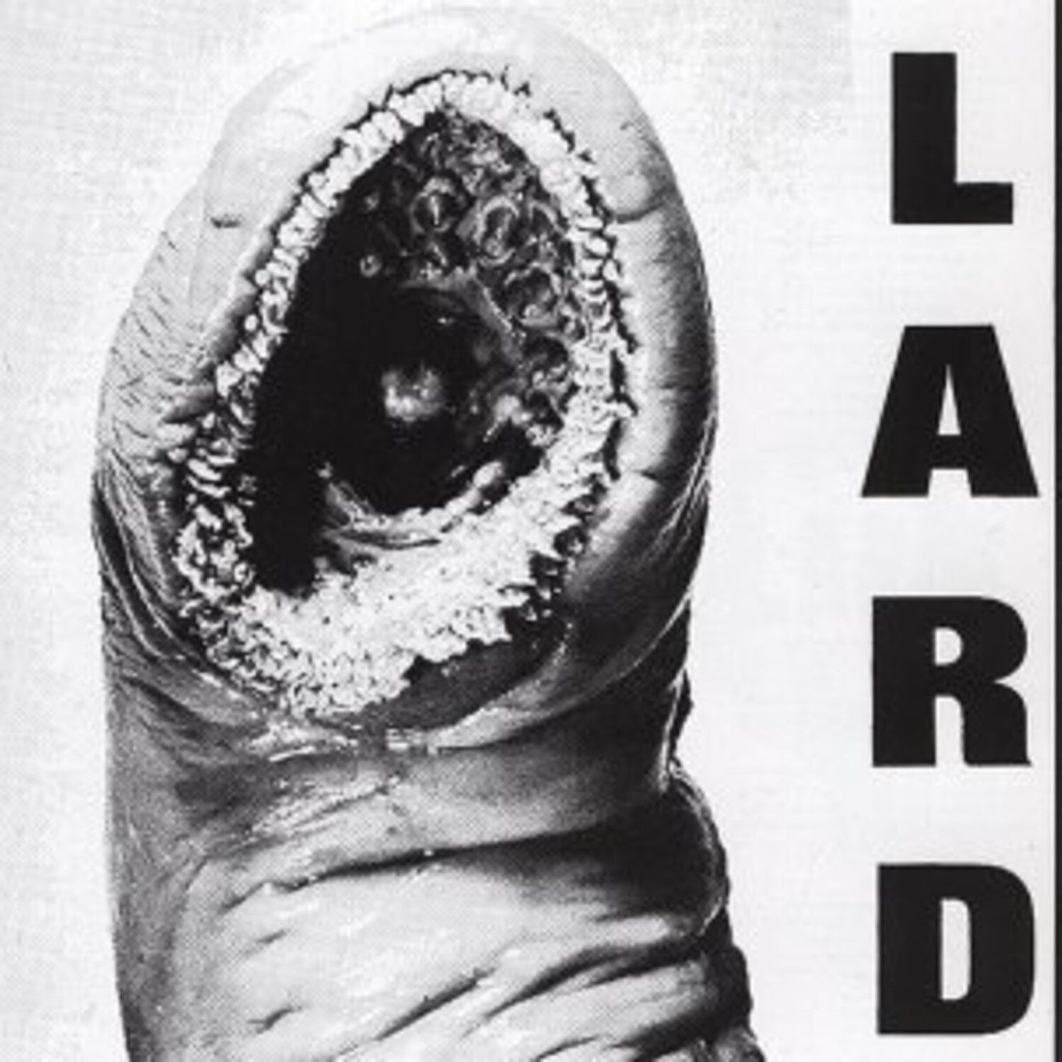 Lard - Power Of Lard