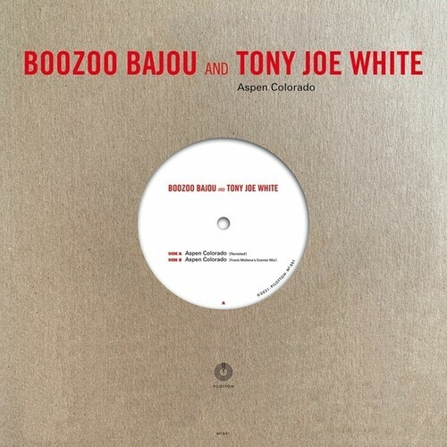 Boozoo Bajou & Tony Joe White - Aspen Colorado (10