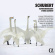 Franz Schubert - Schubert & Mendelssohn: Works Franz Schubert - Schubert & Mendelssohn: Works