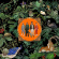 Don Broco - Amazing Things (Vinyl) Don Broco - Amazing Things (Vinyl)