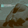 Wolf H. - Irrsal -Cd+Dvd- Wolf H. - Irrsal -Cd+Dvd-