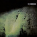 23 Skidoo - CULLING IS COMING 23 Skidoo - CULLING IS COMING