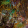Worm - Foreverglade (Green) Worm - Foreverglade (Green)