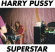 Harry Pussy - Superstar Harry Pussy - Superstar