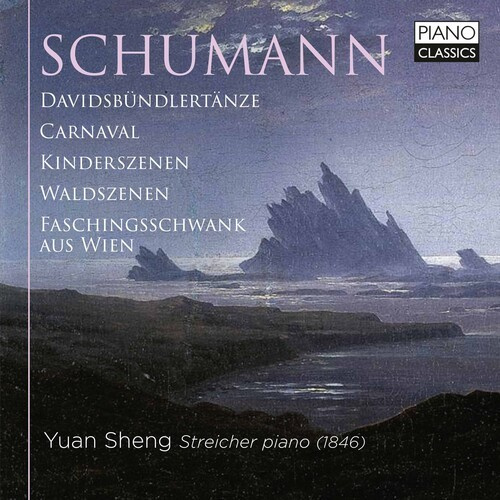 Robert Schumann - Piano Music