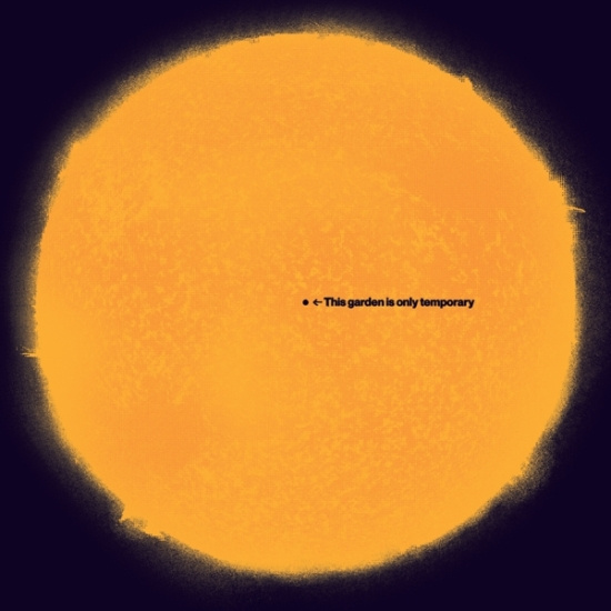 White Andy - This Garden Is Only Temporary