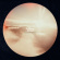 Trummor And Orgel - Hopes And Dreams Trummor And Orgel - Hopes And Dreams