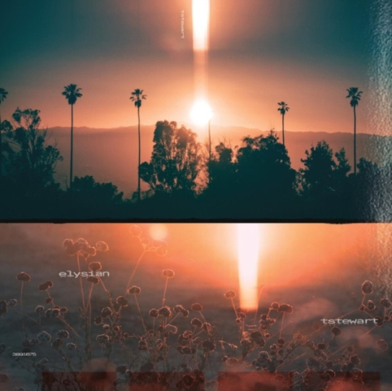 Tstewart Machinedrum - Elysian