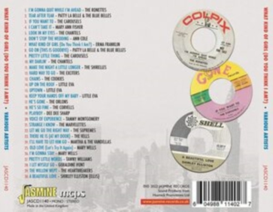 Various Artists - What Kind Of Girl (Do You Think I A