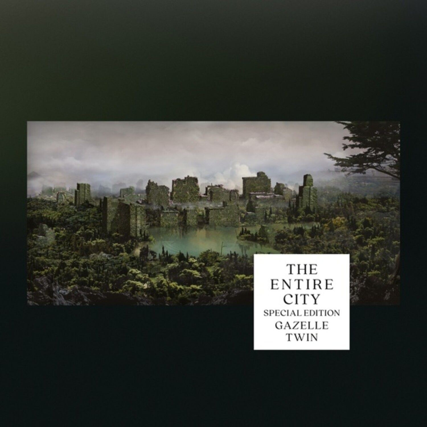 Gazelle Twin - Entire City - Special Ed.