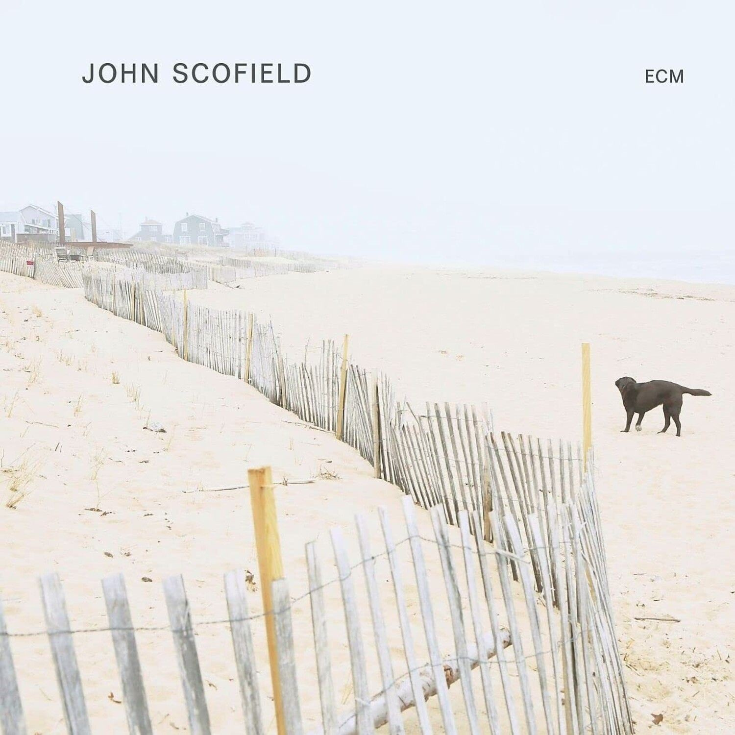 John Scofield - John Scofield (Solo Album)